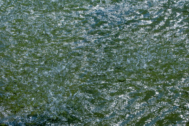 Texture, background, pattern. Water in the pools, spray from the fountain. Water pool fountain spouting vertical high geyser shoot spray sprinkle feature decoration