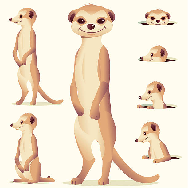 미어캣 - medium group of animals illustrations stock illustrations