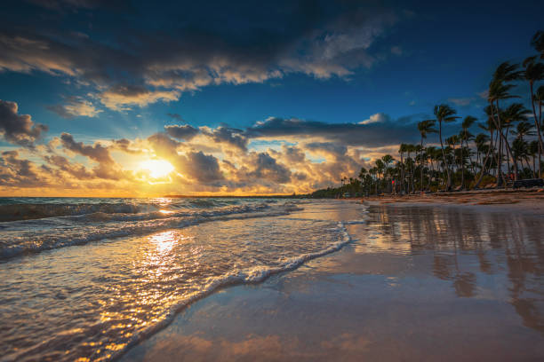 istock Tropical island beach in Punta Cana, Dominican Republic 964190796