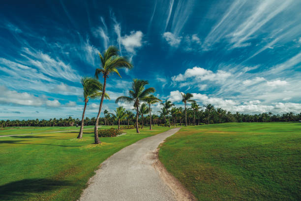 istock Golf course in the tropical island 964191942