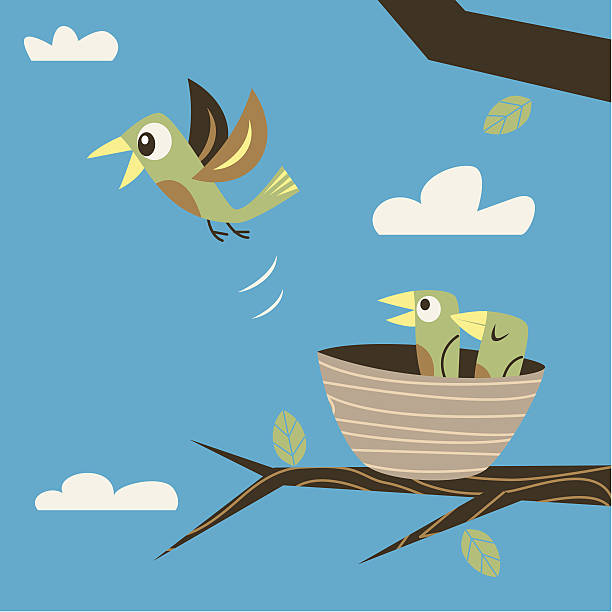 fleeing 이 네스트 - birds nest animal nest leaving empty stock illustrations