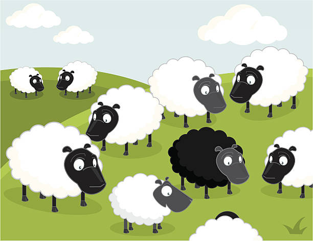 ilustraciones, imágenes clip art, dibujos animados e iconos de stock de ovejas negras de la familia - flock of sheep