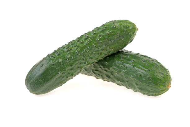 istock two green ripe cucumber on white background 964199932