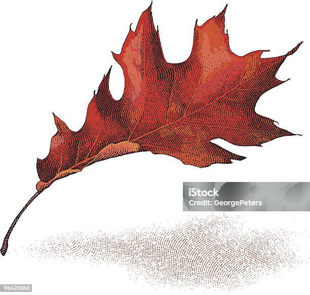Herbst Blatt Stock Vektor Art und mehr Bilder von Eichenblatt - Eichenblatt, Herbst, Illustration