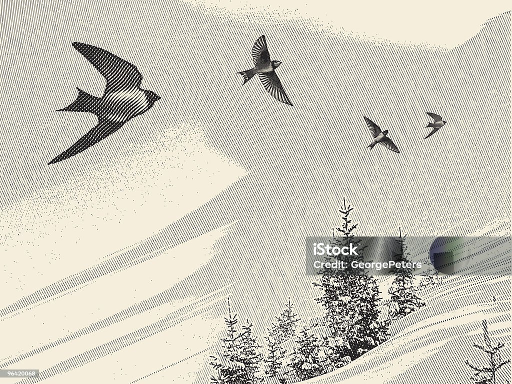 Schwalben und Pinien - Lizenzfrei Vogel Vektorgrafik