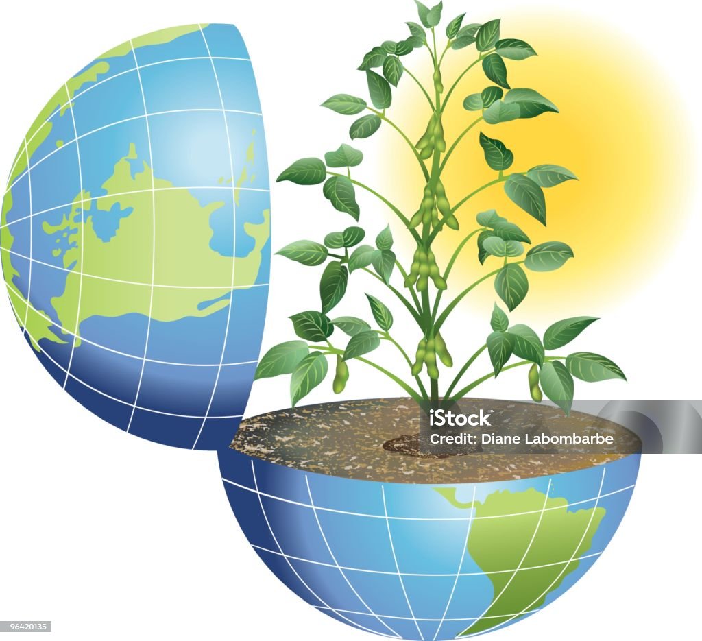 Feed the World Global Agriculture. Soybeans are an excellent an source for food and fuel. Concept image. Agriculture stock vector