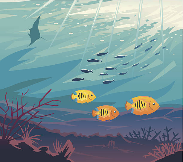 Underwater Life vector art illustration