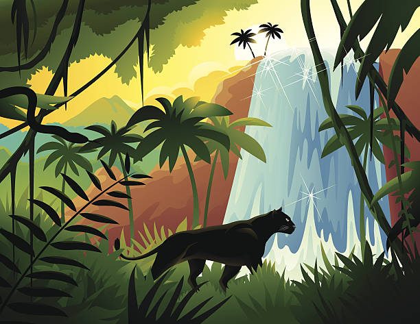 Cartoon Black Panther in Tropical Jungle Near Waterfall vector art illustration