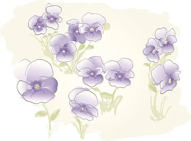 Vector illustration of Meadow of Violets