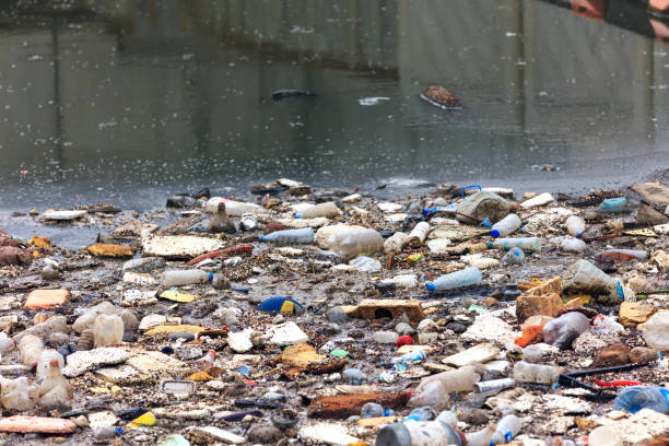 istock Water Pollution - Polluting the Seas 964204756