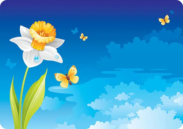 Vector illustration of Sky background with daffodil