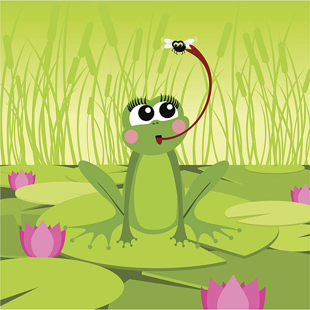 illustrazioni stock, clip art, cartoni animati e icone di tendenza di rana & fly - frog catching fly water