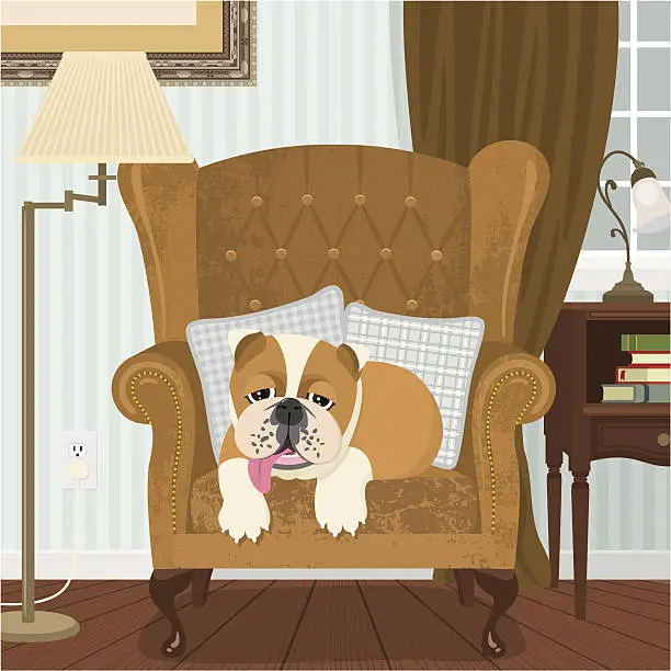 Vector illustration of British bulldog