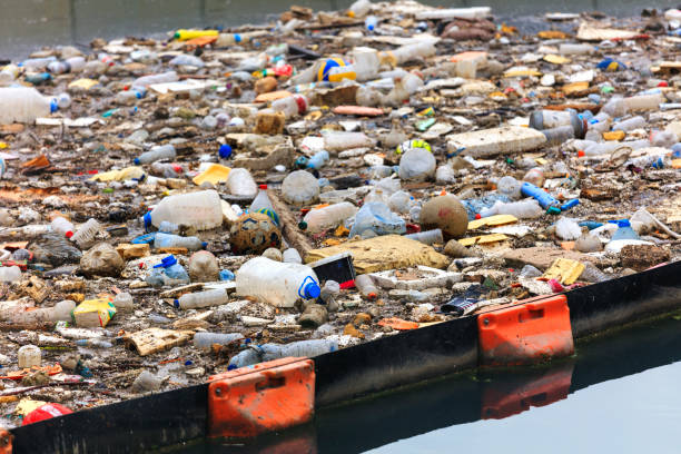 istock Water Pollution - Polluting the Seas 964207898