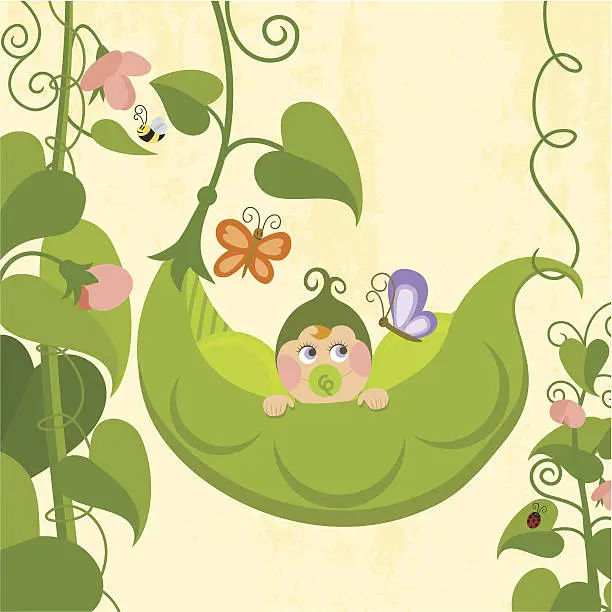 Vector illustration of Sweet pea (series)