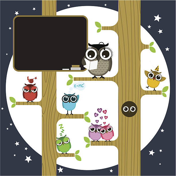 올빼미류 학교 - medium group of animals illustrations stock illustrations