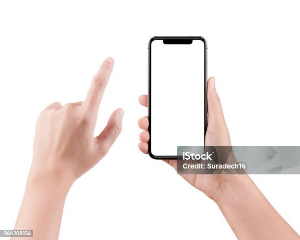 Isolated Female Hand Holding A Cellphone With Clipping Path Woman Typing On Mobile Phone Isolated On White Background Stock Photo - Download Image Now