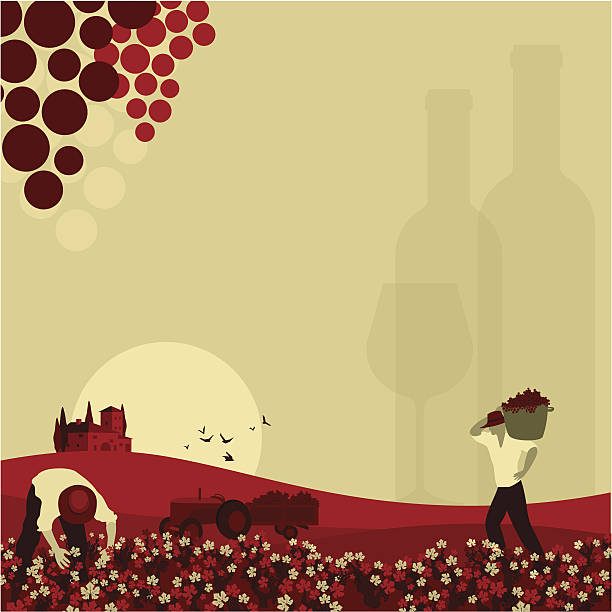wino tle - red grape illustrations stock illustrations