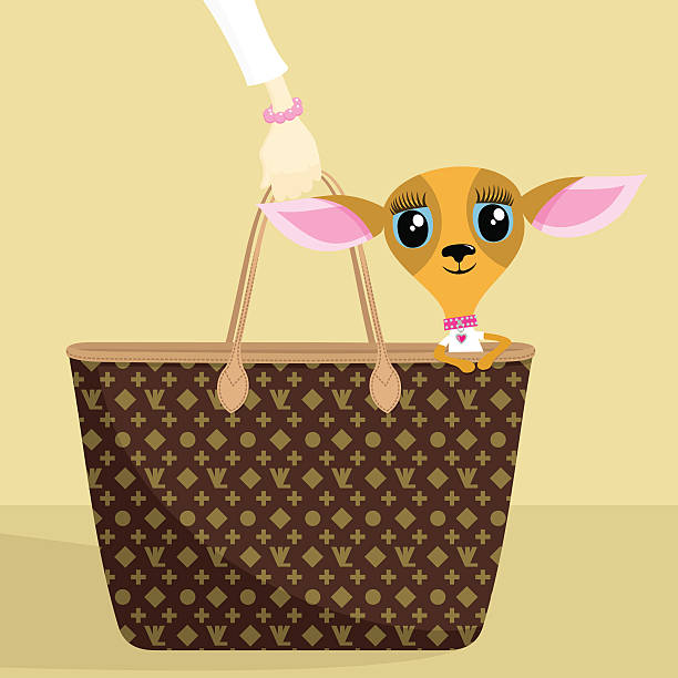 illustrations, cliparts, dessins animés et icônes de chien chic - dog chihuahua pampered pets pets