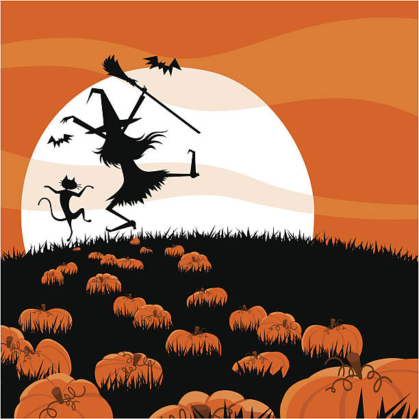 halloween nocy - pumpkin patch stock illustrations