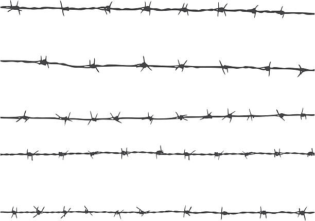 철조망 - barbed wire stock illustrations