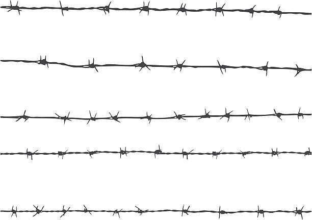 ilustrações de stock, clip art, desenhos animados e ícones de arame farpado - barbed wire wire isolated nobody