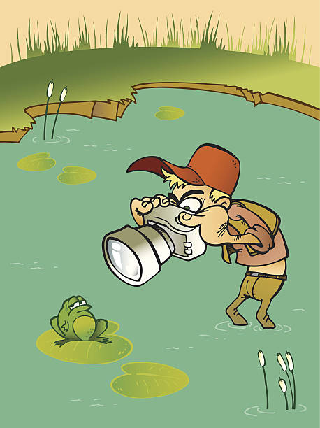 ilustraciones, imágenes clip art, dibujos animados e iconos de stock de fotógrafo abatir un orificio rana - photographer frog camera humor