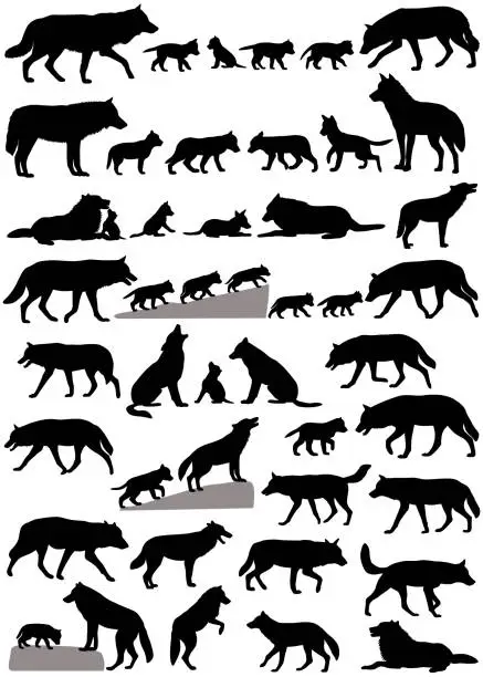 Vector illustration of Silhouettes of wolves and wolf-cubs