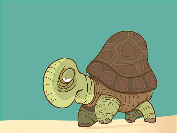 Old Turtle Just am old turtle walking slow walk slowly stock illustrations
