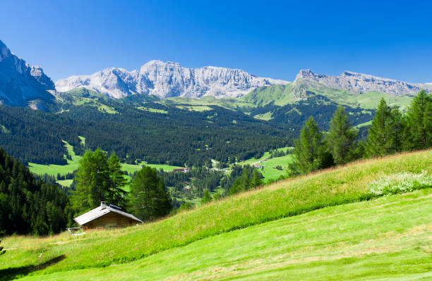 istock summer landscape in Dolomites mountains 964211940