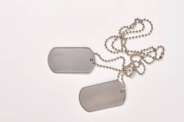 Military dog tags isolated on white background. Blank army dogtags with copyspace.