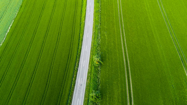 istock Road through agricultural area, aerial view 964213330