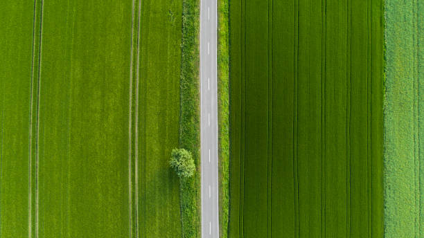 istock Road through agricultural area, aerial view 964213540