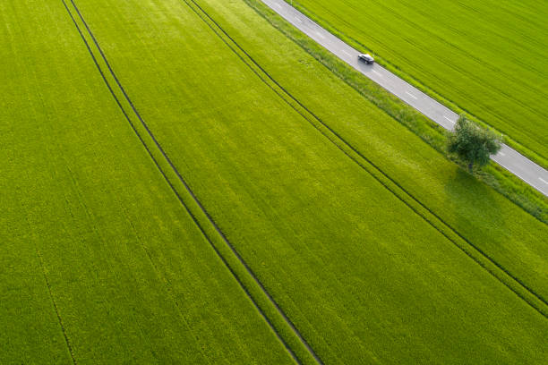 Road through agricultural area, aerial view