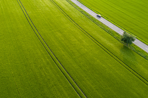 Road through fields, agricultural area - aerial view