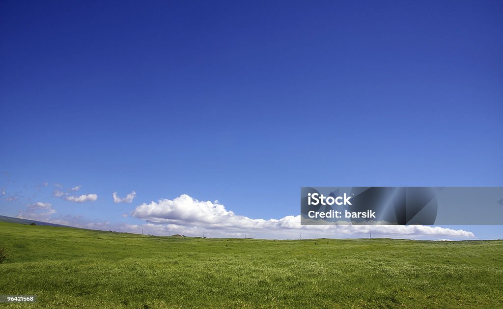 Fondo de cielo y de la hierba - Foto de stock de Aire libre libre de derechos