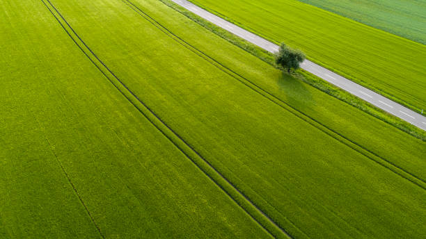 istock Road through agricultural area, aerial view 964215716
