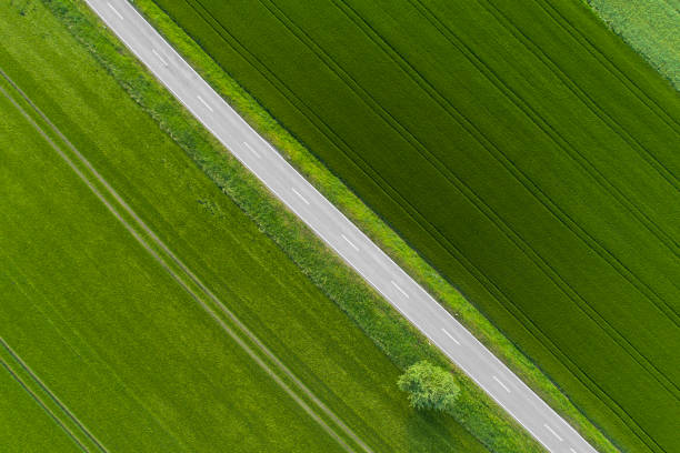 istock Road through agricultural area, aerial view 964215740
