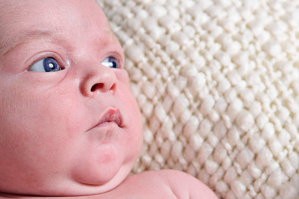 Newborn Baby stock photo