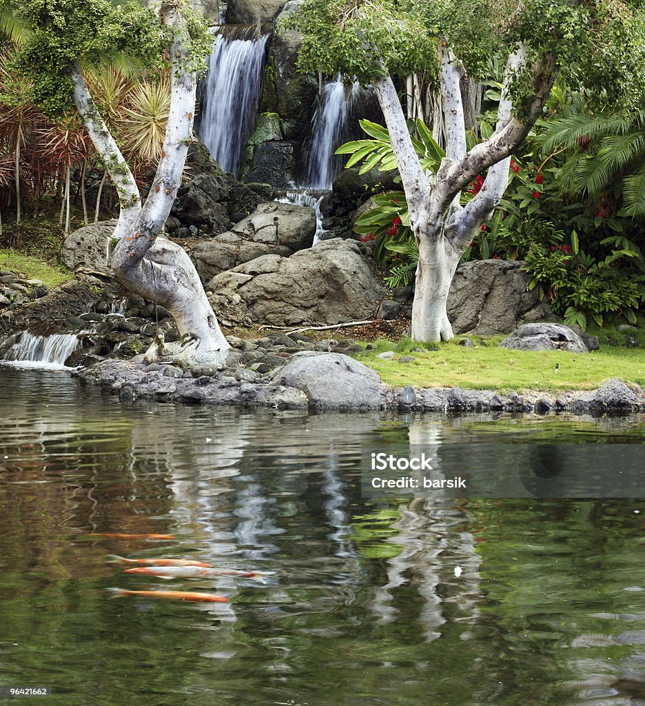 Jardin japonais - Photo de Arbre libre de droits