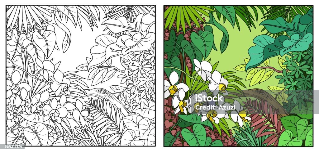 Wild jungle color and black contour line drawing for coloring on a white background Rainforest stock vector