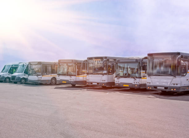 istock Row of the big buses 964227130