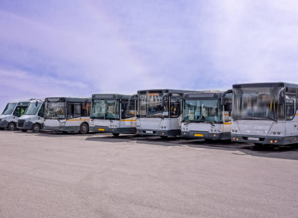 istock Row of the big buses 964227172