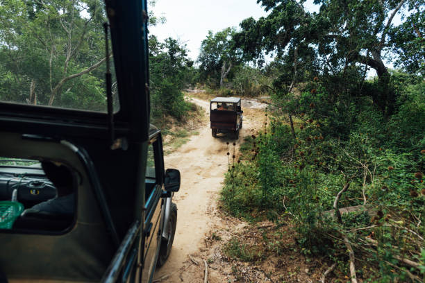 istock two car drive in savannah on the sand road 964233678