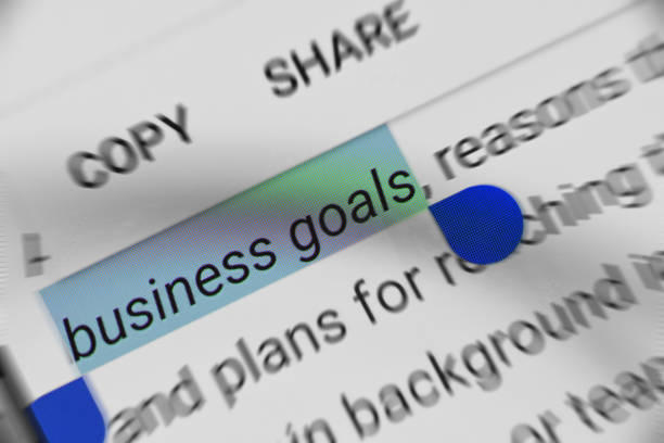 istock Reading about Business Goals related information online 964237444