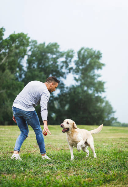 istock Young man playing with his dog in nature 964240360