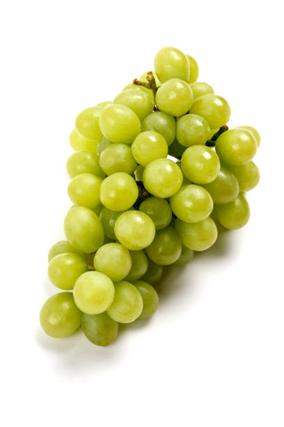 istock A bunch of breen grapes, shot on a white background, with a drop shadow. 964241528