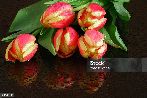 Photo libre de droit de Tulipes banque d'images et plus d'images libres de droit de Arbre en fleurs - Arbre en fleurs, Beauté de la nature, Botanique