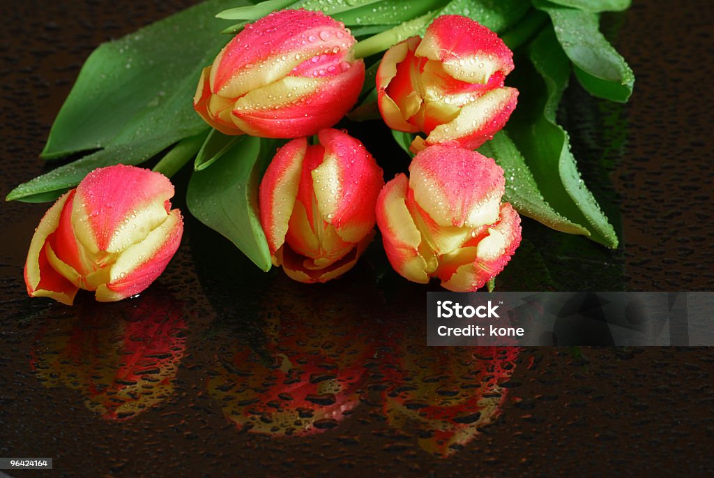 Tulipas - Foto de stock de Arranjo royalty-free