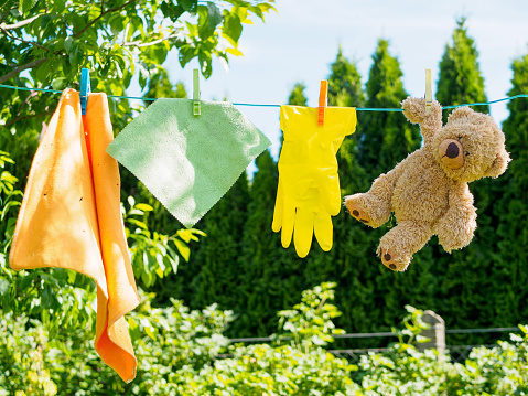 Cleaning cloth, rubber glove, teddy bear, clothespins, leash, shrubs, spring cleaning, dishcloth